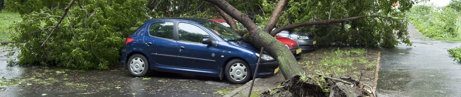 Stormschade auto